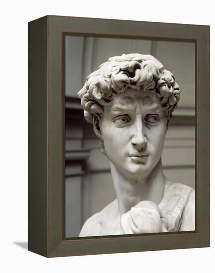 David-Michelangelo Buonarroti-Framed Premier Image Canvas