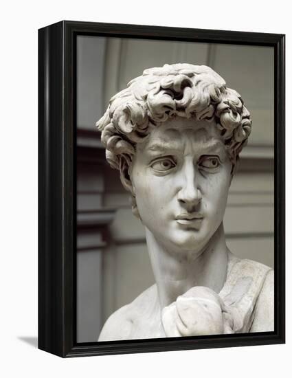 David-Michelangelo Buonarroti-Framed Premier Image Canvas