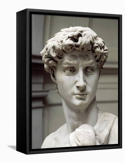 David-Michelangelo Buonarroti-Framed Premier Image Canvas