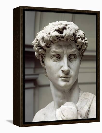 David-Michelangelo Buonarroti-Framed Premier Image Canvas