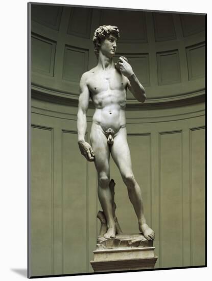 David-Michelangelo Buonarroti-Mounted Giclee Print