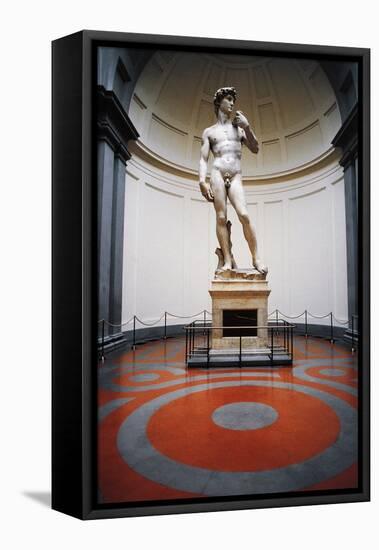David-Michelangelo Buonarroti-Framed Premier Image Canvas