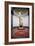 David-Michelangelo Buonarroti-Framed Photographic Print