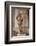 David-Donatello-Framed Photographic Print