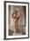 David-Donatello-Framed Photographic Print