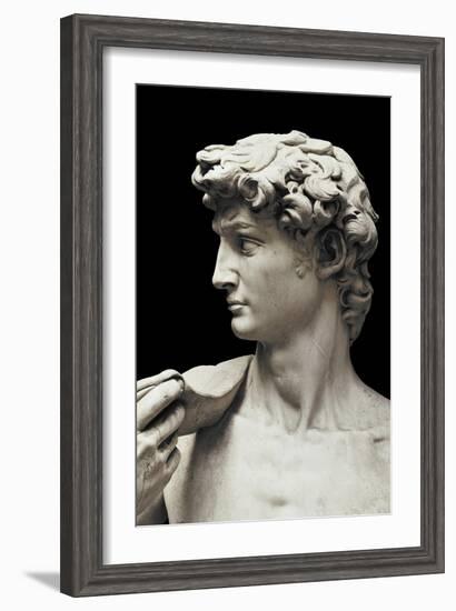 David-Michelangelo-Framed Art Print