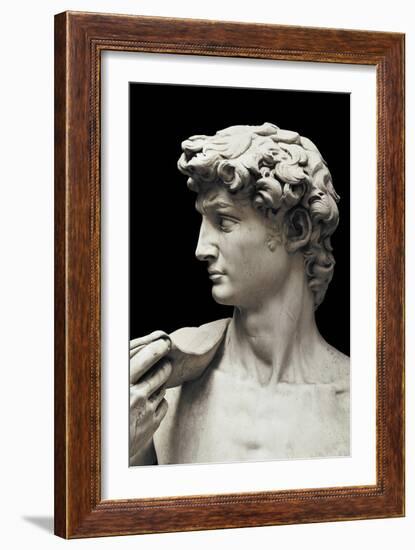 David-Michelangelo-Framed Art Print