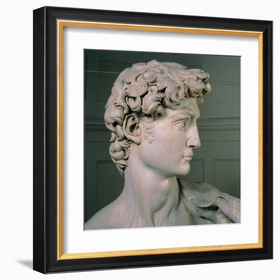 David-Michelangelo-Framed Art Print