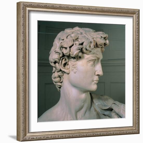 David-Michelangelo-Framed Art Print