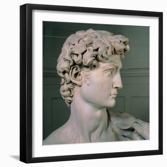 David-Michelangelo-Framed Art Print