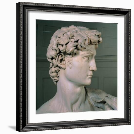 David-Michelangelo-Framed Art Print