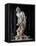 David-Gian Lorenzo Bernini-Framed Stretched Canvas