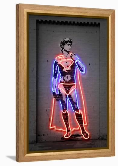 David-Octavian Mielu-Framed Stretched Canvas