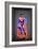 David-Octavian Mielu-Framed Premium Giclee Print