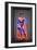 David-Octavian Mielu-Framed Premium Giclee Print