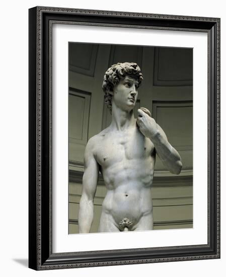 David-Michelangelo-Framed Art Print