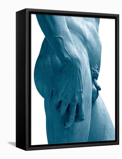 David-Michelangelo-Framed Stretched Canvas