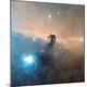Premium Photographic Print
