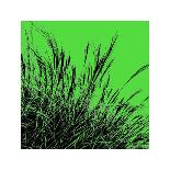 Grass (red), c.2011-Davide Polla-Premium Giclee Print