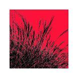 Grass (magenta), c.2011-Davide Polla-Premium Giclee Print