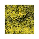 Grass (yellow), c.2011-Davide Polla-Premium Giclee Print