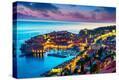 Stretched Canvas Print