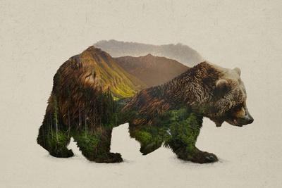 Society6 ケース Davies Babies The Kodiak Brown Davies Babies Wall Art: Prints, Paintings & Posters | Art.com