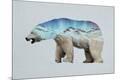 Premium Giclee Print