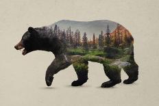 The North American Black Bear-Davies Babies-Art Print