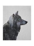 Rocky Mountain Grey Wolf-Davies Babies-Art Print