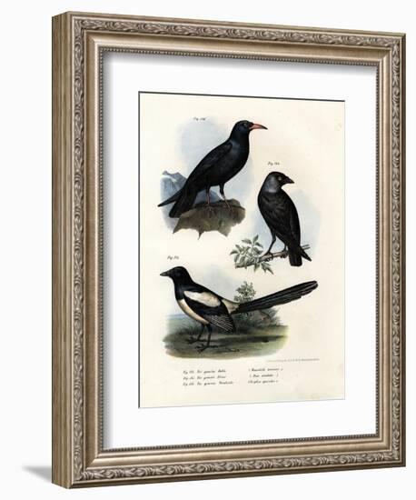 Daw, 1864-null-Framed Giclee Print