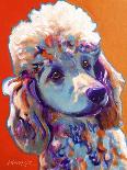 Poodle - Bonnie-Dawgart-Giclee Print