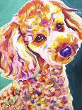Poodle - Curly-Dawgart-Giclee Print