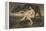 Dawn, 1871 (Oil on Canvas)-Simeon Solomon-Framed Premier Image Canvas