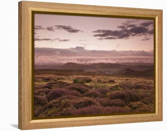 Dawn Above the Clouds on the Long Mynd Near Church Stretton, Shropshire, England, UK, Europe-Ian Egner-Framed Premier Image Canvas