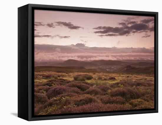 Dawn Above the Clouds on the Long Mynd Near Church Stretton, Shropshire, England, UK, Europe-Ian Egner-Framed Premier Image Canvas