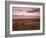 Dawn Above the Clouds on the Long Mynd Near Church Stretton, Shropshire, England, UK, Europe-Ian Egner-Framed Photographic Print