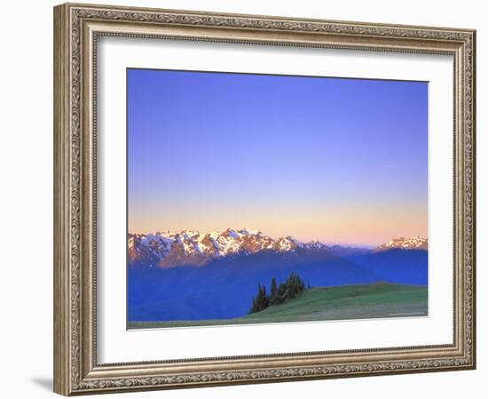 Dawn at Hurricane Hill, Olympic National Park, Washington, USA-Rob Tilley-Framed Photographic Print