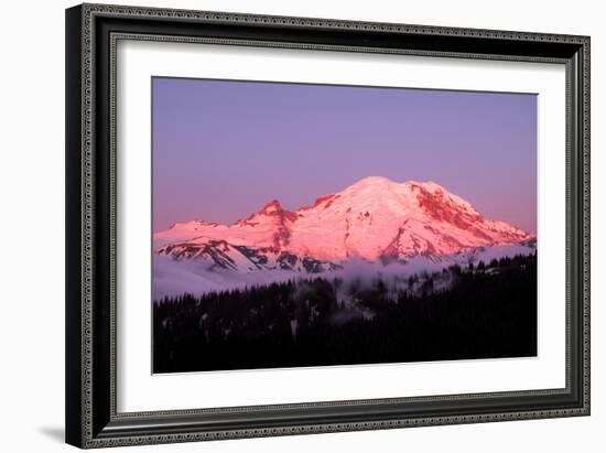 Dawn at Mount Rainier-Douglas Taylor-Framed Photographic Print