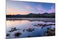 Premium Photographic Print