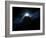 Dawn Breaks on an Alien Planet-Stocktrek Images-Framed Photographic Print