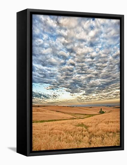 Dawn Breaks on Wheat Field, Walla Walla, Washington, USA-Richard Duval-Framed Premier Image Canvas