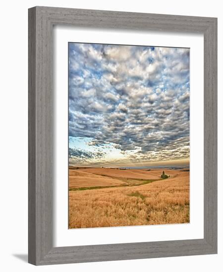 Dawn Breaks on Wheat Field, Walla Walla, Washington, USA-Richard Duval-Framed Photographic Print