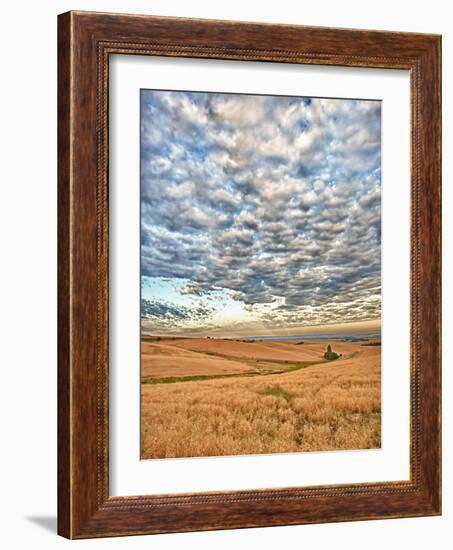 Dawn Breaks on Wheat Field, Walla Walla, Washington, USA-Richard Duval-Framed Photographic Print