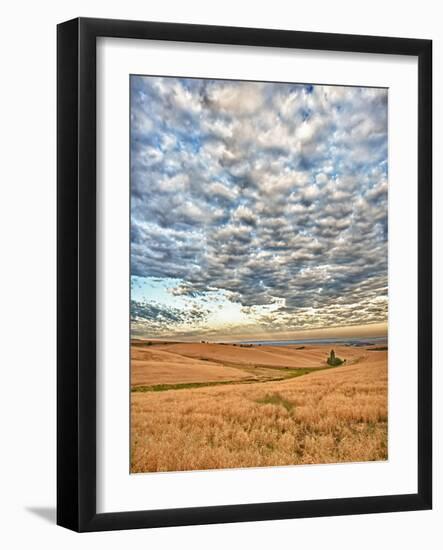 Dawn Breaks on Wheat Field, Walla Walla, Washington, USA-Richard Duval-Framed Photographic Print