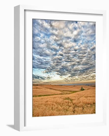 Dawn Breaks on Wheat Field, Walla Walla, Washington, USA-Richard Duval-Framed Photographic Print