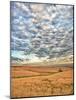 Dawn Breaks on Wheat Field, Walla Walla, Washington, USA-Richard Duval-Mounted Photographic Print