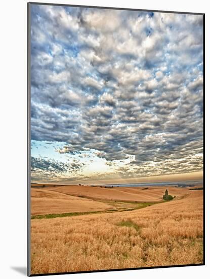 Dawn Breaks on Wheat Field, Walla Walla, Washington, USA-Richard Duval-Mounted Photographic Print