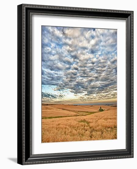 Dawn Breaks on Wheat Field, Walla Walla, Washington, USA-Richard Duval-Framed Photographic Print