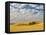 Dawn Breaks on Wheat Field, Walla Walla, Washington, USA-Richard Duval-Framed Premier Image Canvas